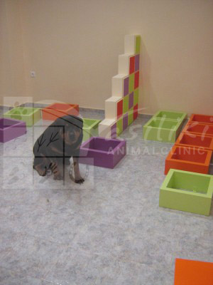 waiting area preparing13